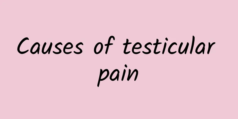 Causes of testicular pain