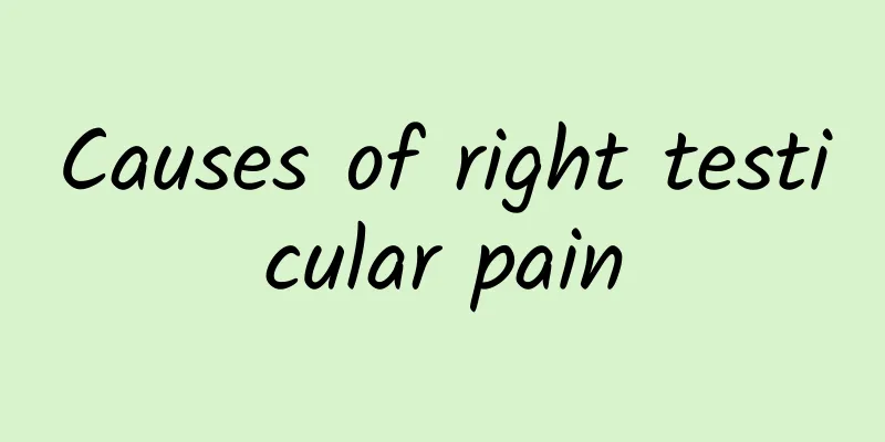 Causes of right testicular pain