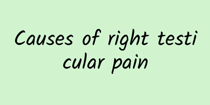 Causes of right testicular pain