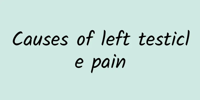 Causes of left testicle pain