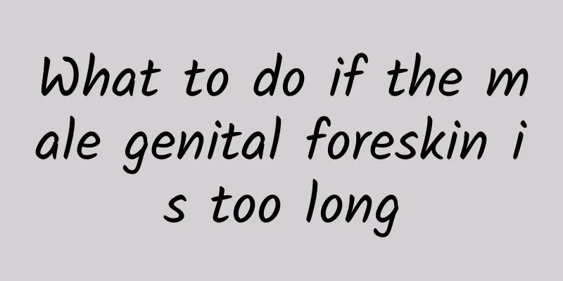 What to do if the male genital foreskin is too long