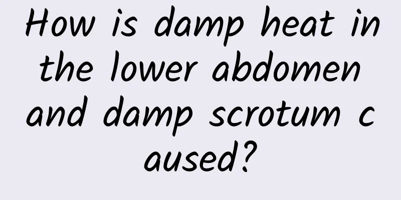 How is damp heat in the lower abdomen and damp scrotum caused?