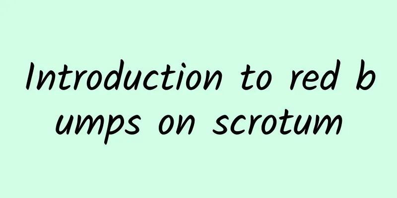 Introduction to red bumps on scrotum