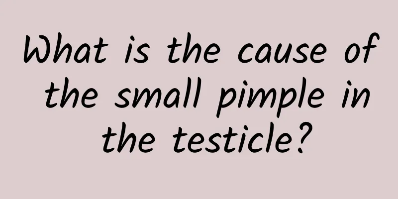 What is the cause of the small pimple in the testicle?