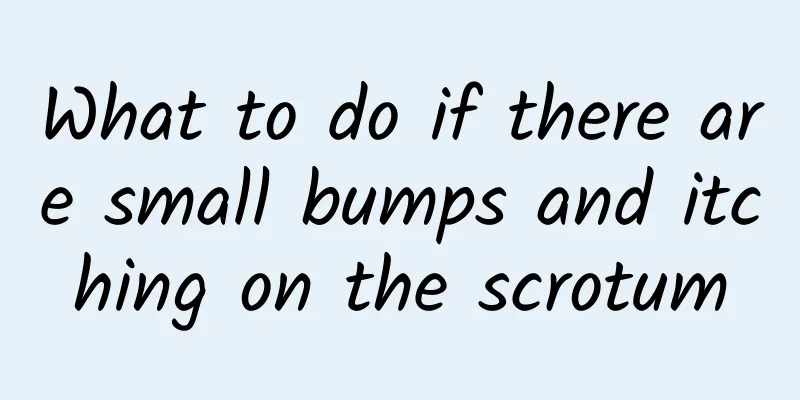 What to do if there are small bumps and itching on the scrotum