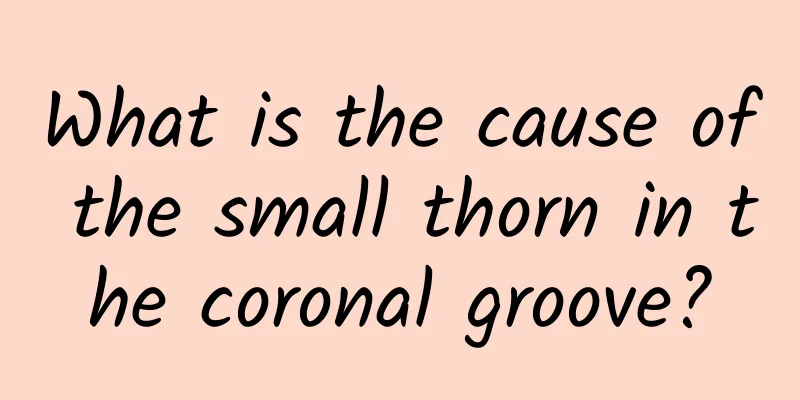 What is the cause of the small thorn in the coronal groove?