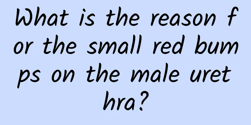 What is the reason for the small red bumps on the male urethra?