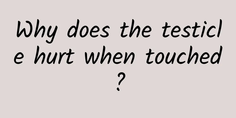 Why does the testicle hurt when touched?