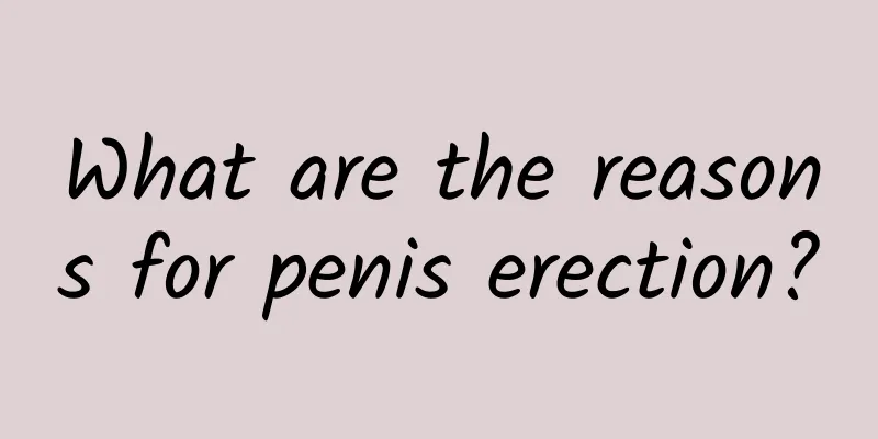 What are the reasons for penis erection?