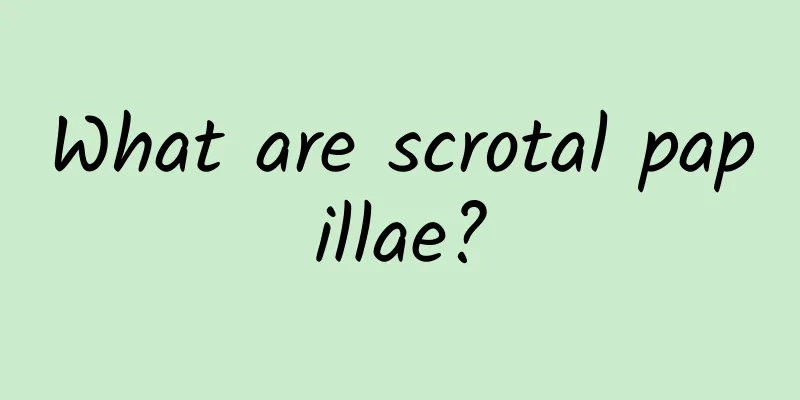 What are scrotal papillae?