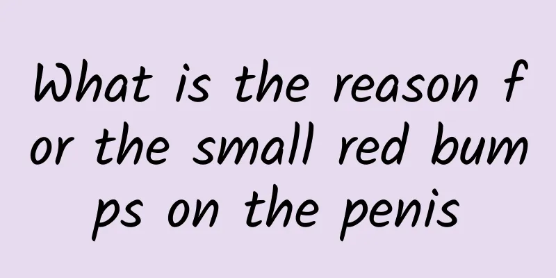 What is the reason for the small red bumps on the penis