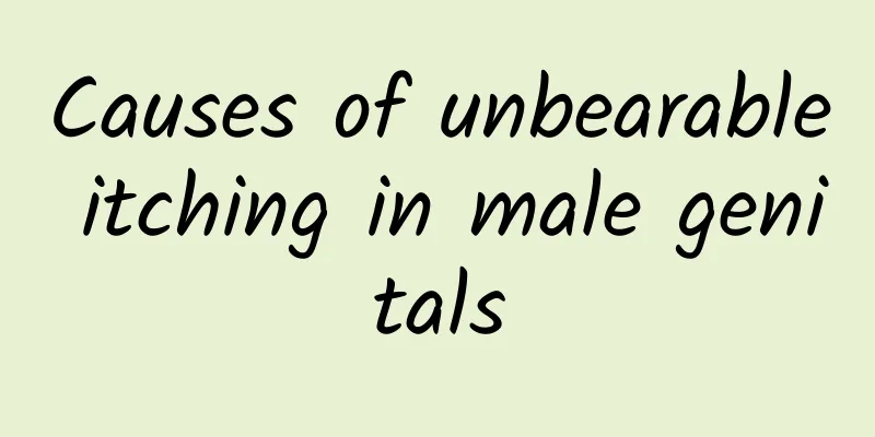 Causes of unbearable itching in male genitals