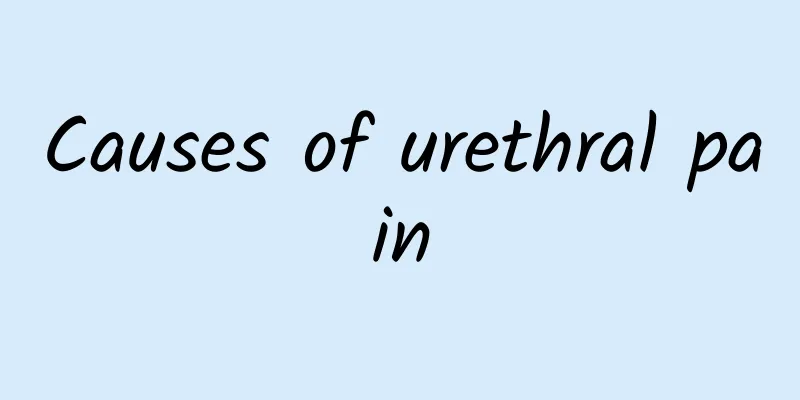 Causes of urethral pain