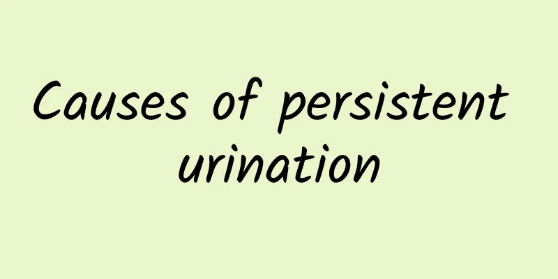 Causes of persistent urination
