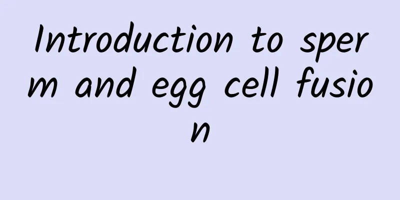 Introduction to sperm and egg cell fusion