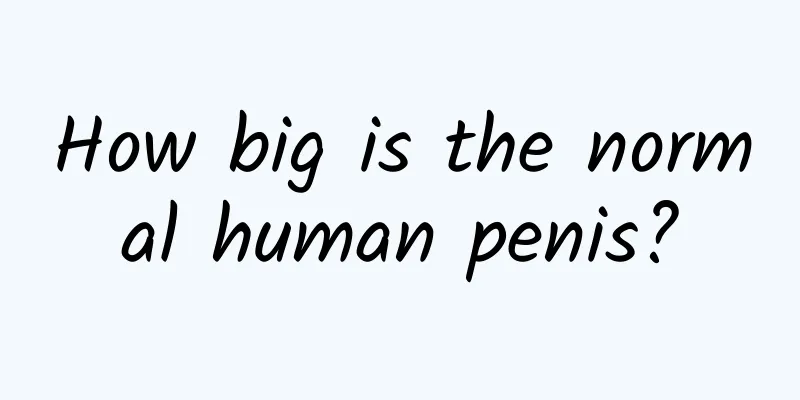How big is the normal human penis?