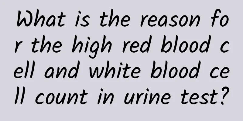 What is the reason for the high red blood cell and white blood cell count in urine test?