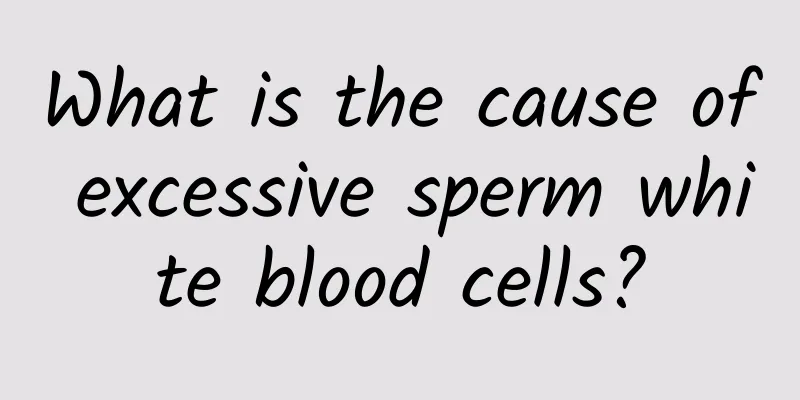 What is the cause of excessive sperm white blood cells?