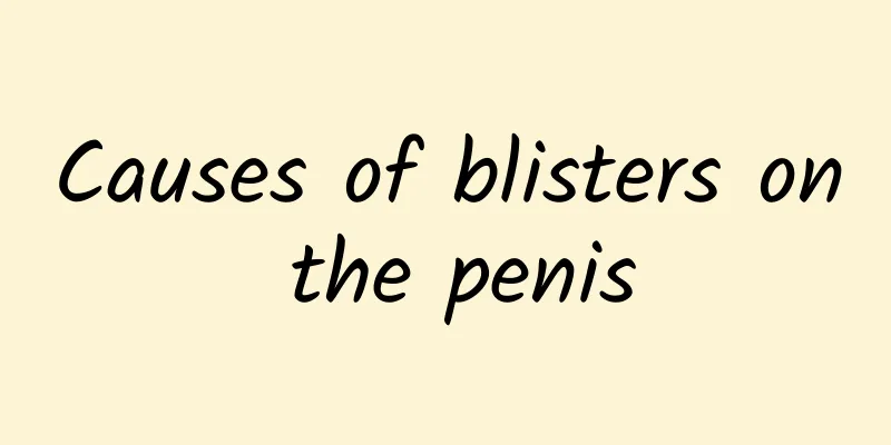 Causes of blisters on the penis