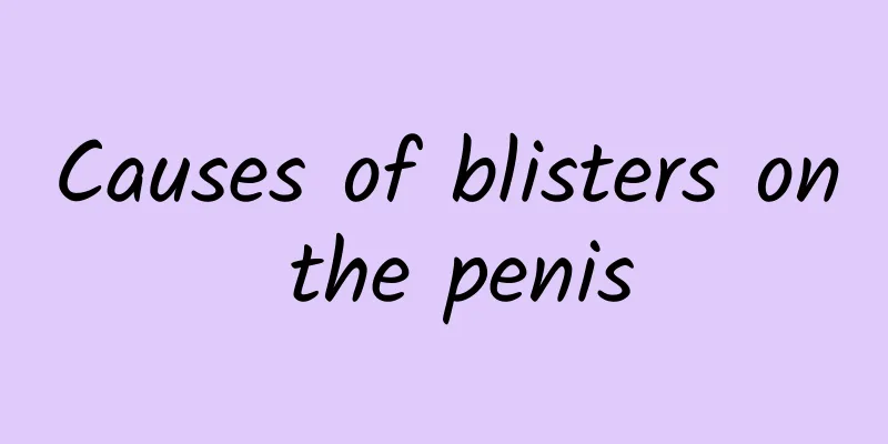 Causes of blisters on the penis