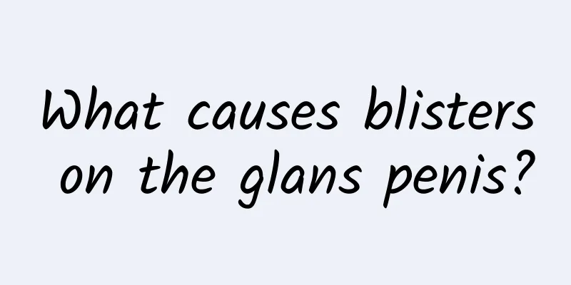 What causes blisters on the glans penis?