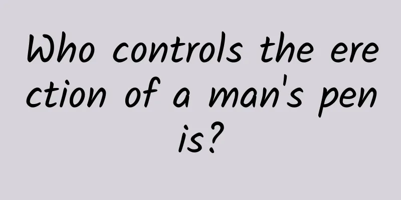 Who controls the erection of a man's penis?