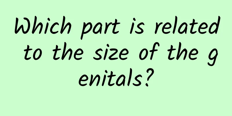 Which part is related to the size of the genitals?
