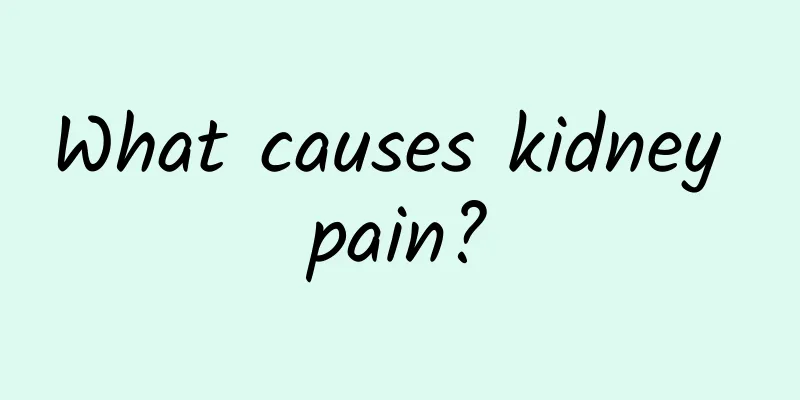 What causes kidney pain?