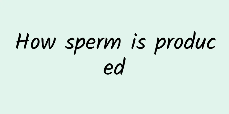 How sperm is produced